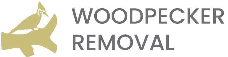 Woodpecker Logo